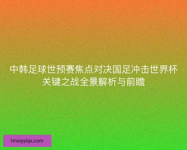 中韩足球世预赛焦点对决国足冲击世界杯关键之战全景解析与前瞻