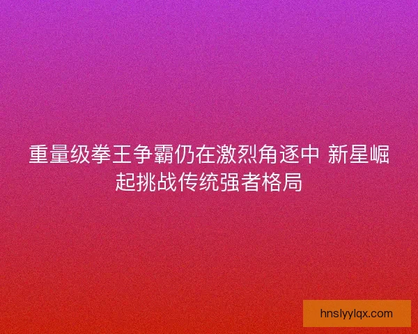 重量级拳王争霸仍在激烈角逐中 新星崛起挑战传统强者格局