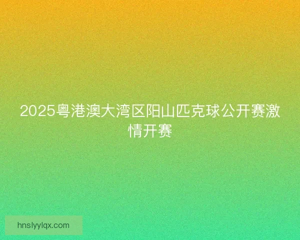 2025粤港澳大湾区阳山匹克球公开赛激情开赛