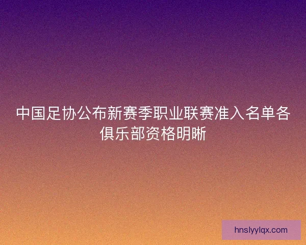 中国足协公布新赛季职业联赛准入名单各俱乐部资格明晰
